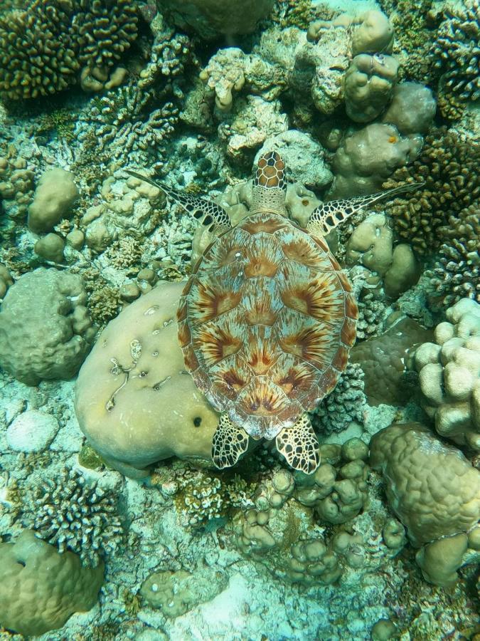 White Coral Rasdhoo Exterior foto